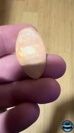 Santa Barbara Zoo Elongated Coin Smashed Pressed Penny #elongatedcoin #coin