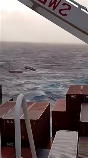 SeaOfSavage | The Ocean Unleashed 🌊⚡