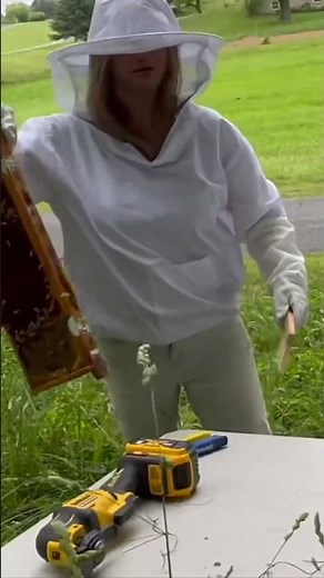 Installing a Nuc in a Top Bar Hive