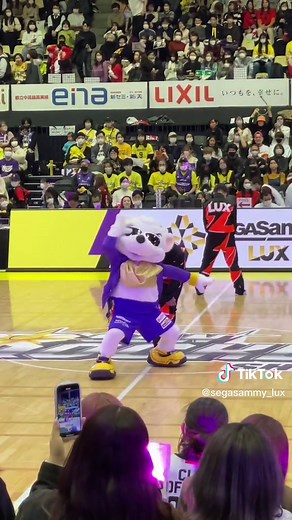 サンロッカーズ渋谷【公式】応援ショー🔥 | サンディー君コラボショーケース✨