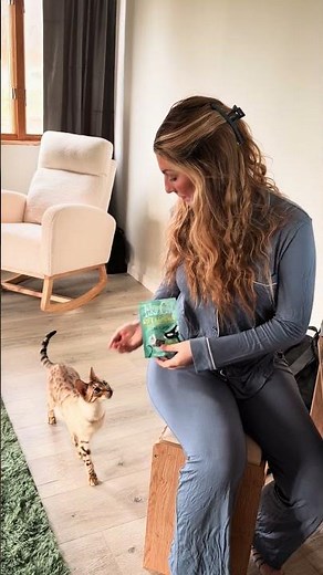 My Cat Comes Running for These Treats 😻 | Tiki Cat Soft & Chewy Review
