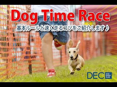ドッグタイムレースの基本ルールと速く走るコツをご紹介してます♪