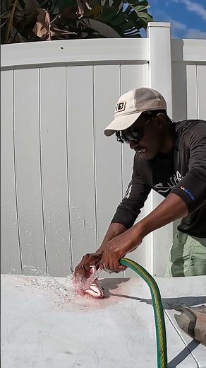 Showing you how I clean & cook my fried mangrove snapper! #catchcleanandcook