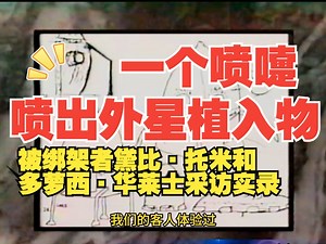 被绑架者黛比·托米和多萝西·华莱士采访实录