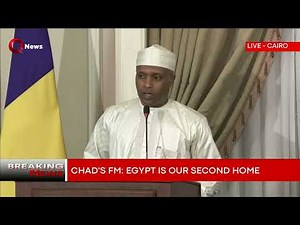 Egypt, Chad FMs hold joint press conference