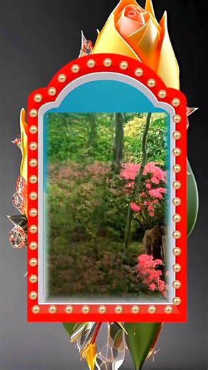 Elegant Floral Border Design with Red and Gold Accents