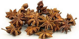 ANIS-ESTRELADO: Benefícios, Usos e Contraindicações