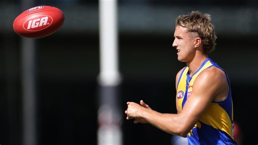 AFL: Hewett back in action with neat goal