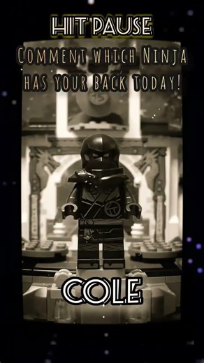 Which Ninja has your back today?