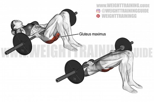 Barbell glute bridge exercise instructions and video | weighttraining.guide
