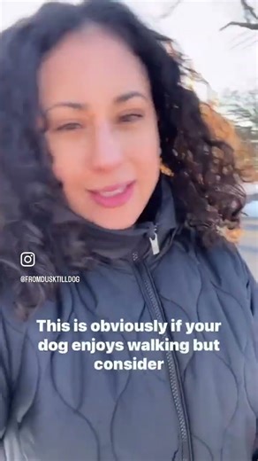 Using access as a reward #fromdusktilldog #dogtraining