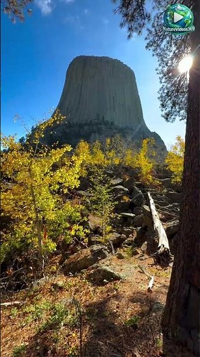 🌟 Relax & Breathe – Nature’s Best Stress Relief! 🍃- NatureVideos369