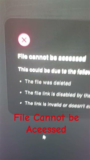 Mega File Cannot be Aceessed
