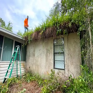 53K views · 1.9K reactions | Neighbors said its a matter of time...