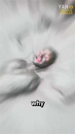 The Fascinating Trend of Bathing in Mud Puddles