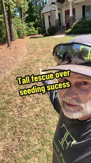 These three steps will ensure your success when over seeding tall fescue grass seed. #lawnanswers #lawncare #turf #tallfescue