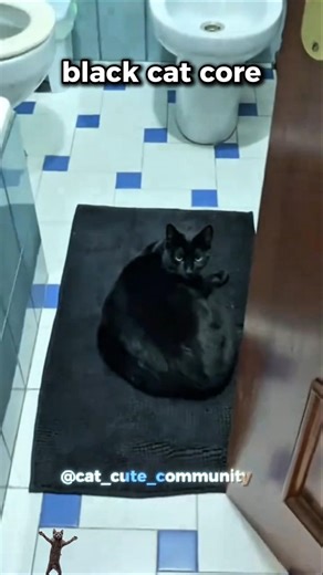 Black cat core
