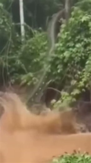 😱 World's Biggest Anaconda Jumped in River! | Giant Snake Caught on Camera 🐍