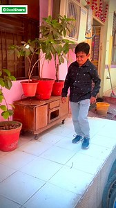 91K views · 2.1K reactions | 6 रुपए मे टमाटर और साथ में बहुत कुछ बहुत ही सस्ते दामों पर ओनली deal share पर  | Jai bajrang bali studio | Facebook