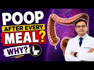 Pooping Right After Eating? Here's What Your Body Is Actually Doing!