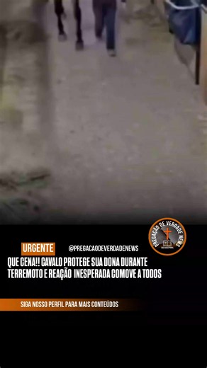 Momentos antes do desabamento de um estábulo, o animal ficou agitado, posicionou-se entre a tutora e a estrutura e a afastou da área de risco. Poucos segundos depois, parte da construção veio abaixo. Os dois saíram ilesos. O episódio impressionou moradores e reforçou estudos que apontam que alguns animais conseguem perceber alterações no ambiente antes de fenômenos naturais, como tremores de terra. Via: Portal Goiás em sua casa