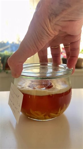 Fermentert ingefærhonning ble MYE bedre enn jeg hadde tenkt meg! Nå bruker jeg det mest som en booster for immunforsvaret. Ei lita ts smaker jo knallgodt rett fra krukka, eller i en smootie. Nå skal denne runda siles og litt av honningen helles over i en ny batch ♻️ Det bobler livlig etter få dager når den levende satsen blir med over i nytt glass. 🐝🫧🍯🫧 Det siste glasset du ser her fermenterer enda raskere (!) for der brukte jeg litt av gingerbug’en. Og den var voldsomt livlig! Det lukter li