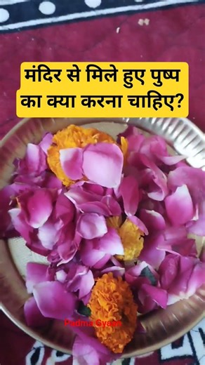 mandir se mile pushp ka kya Krna chahiye #pradeepmishra #bhajan #bhajanmarg #song #navratri