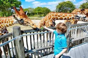10 Best Zoos in Florida, USA - Road Affair