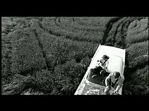 Blue County - That's Cool (2004 Music Video) | #94 Country Song