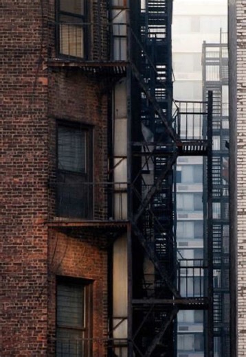 Why Peter Parker is My Spirit Animal