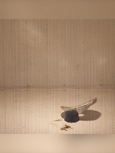 279K views · 3.4K reactions | DIY MEGA Microwave! | The Backyard Scientist | Facebook