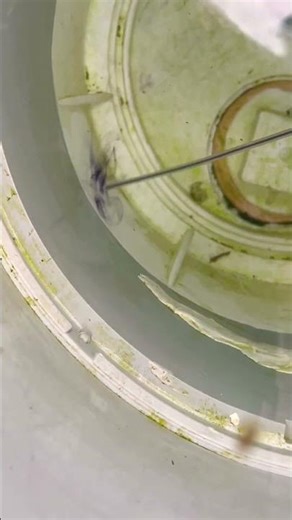 Another company tried to seal this crack but missed a spot