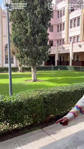 🎓 ¿Vas a presentar examen de admisión UAdeC? ¡Prepárate con el Curso Oficial de Preparación y domina cada área del examen! 📚 ✨ ¿Qué aprenderás? 📖 Comprensión lectora ➡️ Interpretar textos, identificar ideas principales y responder correctamente. ✍️ Redacción indirecta ➡️ Ortografía, gramática y estructura correcta de oraciones. ➗ Pensamiento matemático ➡️ Aritmética, álgebra básica y resolución de problemas. 🌎 Dominio del idioma inglés ➡️ Comprensión básica y estructuras clave. 💻 Modalidad 