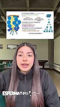 Gametogénesis: Espermatogénesis y ovogénesis