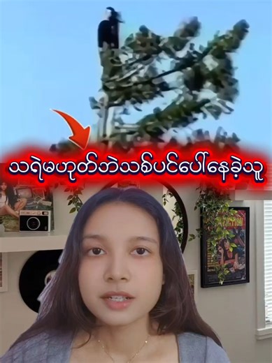 The True Story of Julia Butterfly Hill and Luna