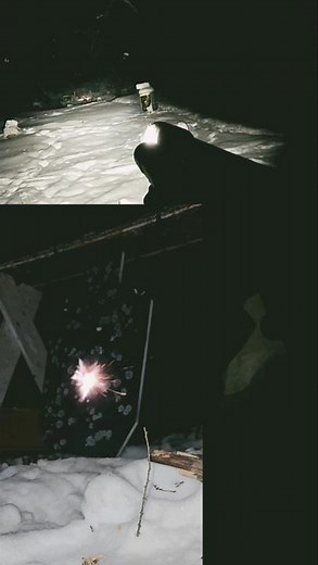 .22 Cal Exploding Pellets🔥🧨 #nightshooters #airguns #crazy #ammo #damage