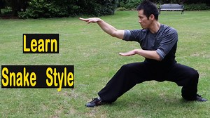 41K views · 3.1K reactions | #kungfu #taichi #qigong #kickboxing #martialarts #wushu #sports | Master Song Kung Fu | Facebook