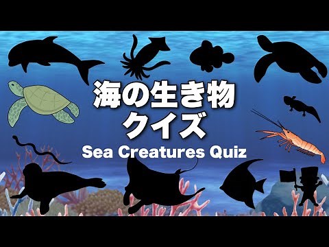 【子供が喜ぶ水族館】海の生き物のシルエットクイズ！ お魚さんたちが大集合！★イルカ・いか・セイウチ・ウミガメ・ニモ・エンゼルフィッシュ★未就学児向け教育｜Fish気分はスキューバダイビング♪