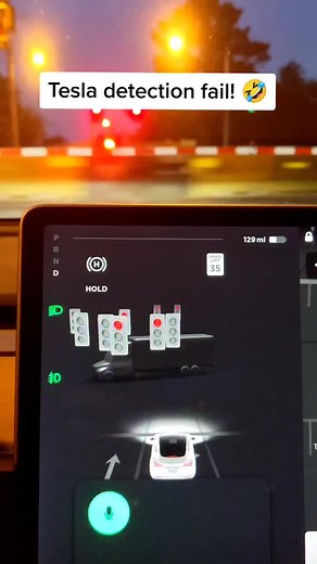 Tesla Detection Fail: Hilarious Autopilot Encounter