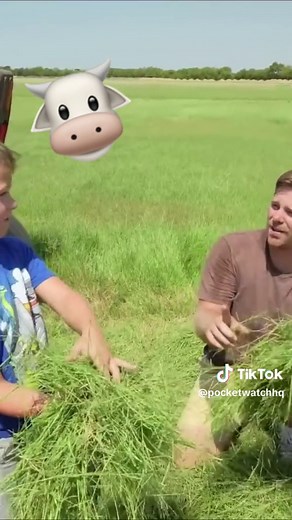 pocket.watch on TikTok