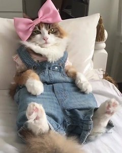 54K views · 326 reactions | 50 Shades Of Nature on Reels | Facebook