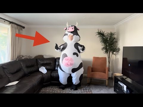 Total Breakdown of NBSAIRMO Inflatable Cow Costume