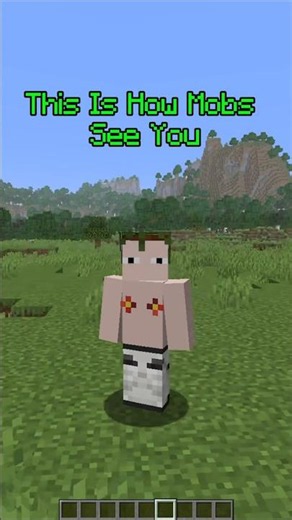 Minecraft Hidden Mob Vision Secret