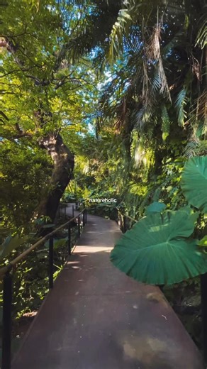 nature of okinawa #japan #沖縄 #okinawa #nature #japantravel | Hiddenokinawa