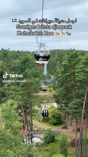 Kolmården Djurpark – Sveriges Fantastiska Djuräventyr