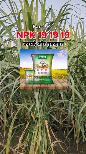 NPK 19-19-19: The Fertilizer That Changed Farming Forever