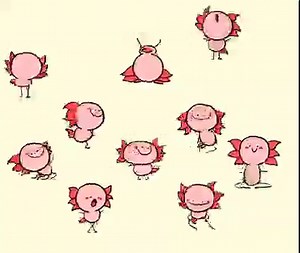 The dancing axolots will brighten your day 💖 📹 by Kékéflipnote on TW | Ghibli Community