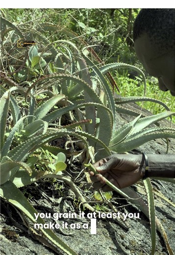 Discover the Beauty of South Sudan's Landscapes