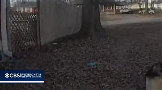 Mystery Dog Finds Missing Toddler: A 3-year-old child who went missing in #Louisville #Kentucky was found safe after an unexpected four-legged hero intervened. As officers canvassed the area during a large-scale search for the missing toddler, a dog suddenly appeared, barking persistently and leading officers on foot to the backyard of a residence, stopping at a vehicle where the child was located. The child was found safe. As quickly as the dog appeared, it vanished, leaving behind one question