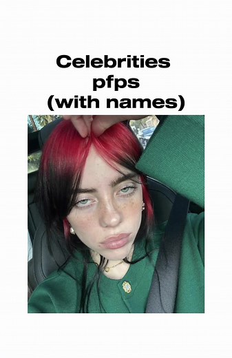 Funny Celebrity PFPS and Icon PFP Ideas for Girls | Part 2